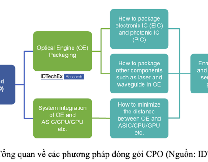 BẢN TIN KHOA HỌC CÔNG NGHỆ THÁNG 08/2025